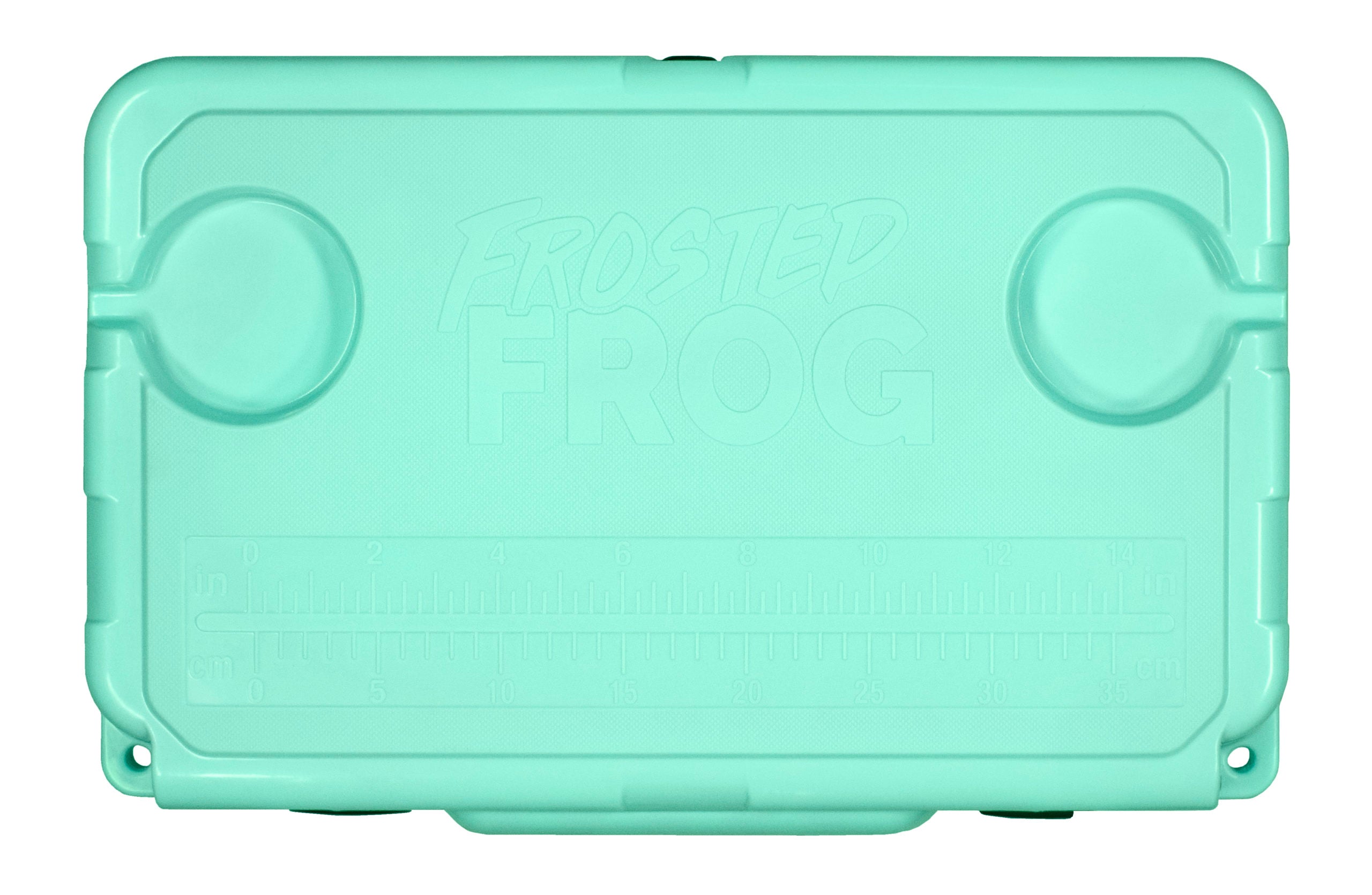 Frosted Frog Mint Green 20 Quart Ice Chest Heavy Togo
